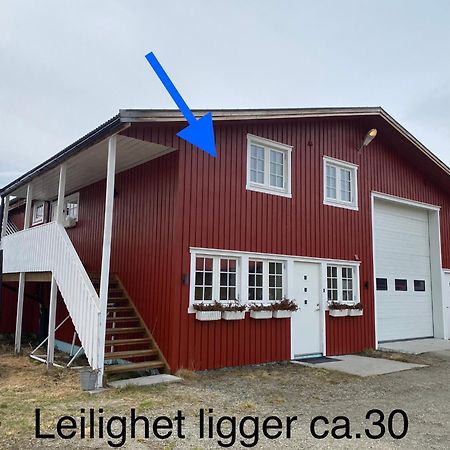 Leilighet Solendet, I Brekken Ved Røros Buitenkant foto