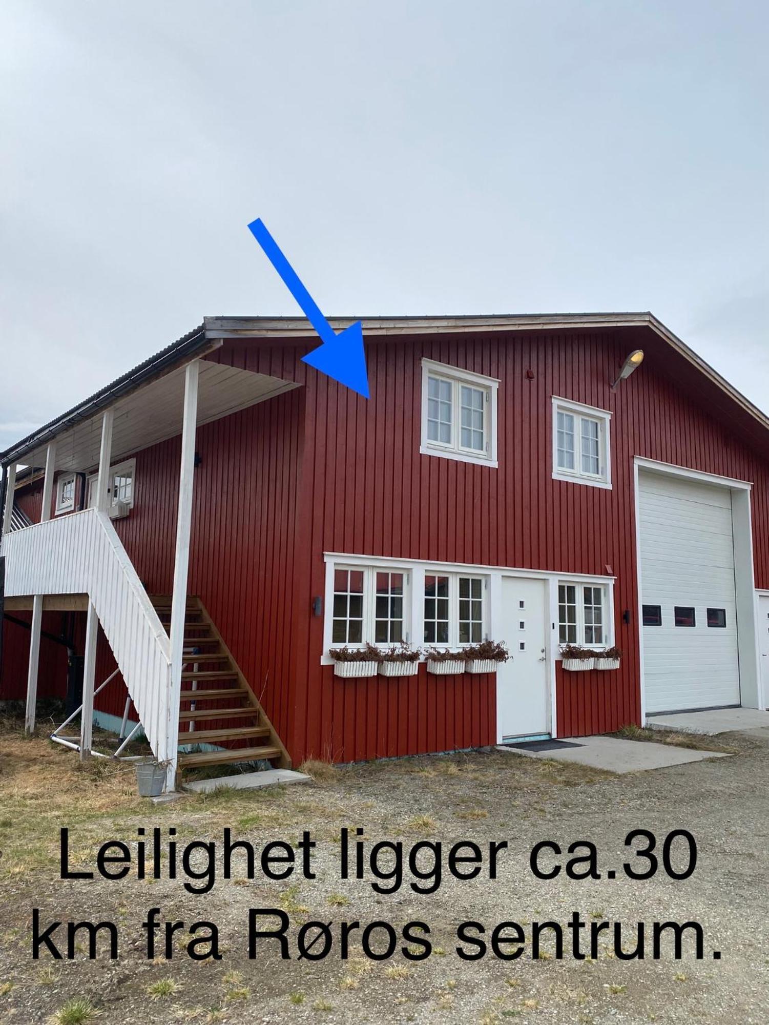 Leilighet Solendet, I Brekken Ved Røros Buitenkant foto